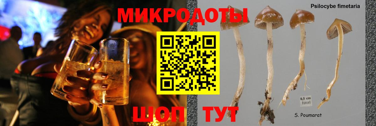 Стрежевой  Псилоцибиновые грибы Psilocybe  Вход с VPN 