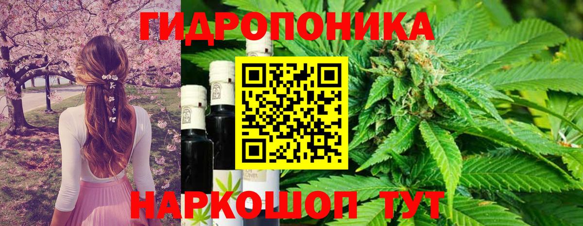 Шишки марихуана OG Kush  Канабис AK-47  Стрежевой  Марихуана семена  Вход с VPN  Канабис THC 21% 